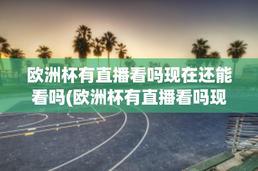 欧洲杯有直播看吗现在还能看吗(欧洲杯有直播看吗现在还能看吗知乎)