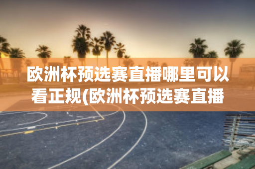 欧洲杯预选赛直播哪里可以看正规(欧洲杯预选赛直播哪里可以看正规的)