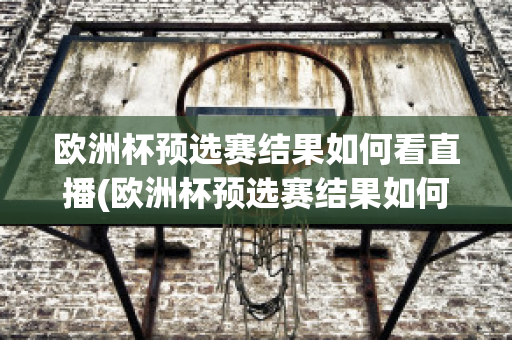 欧洲杯预选赛结果如何看直播(欧洲杯预选赛结果如何看直播视频)