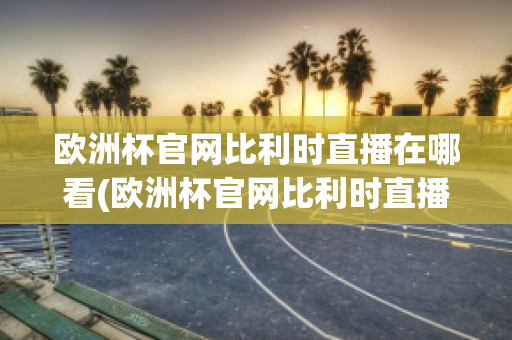 欧洲杯官网比利时直播在哪看(欧洲杯官网比利时直播在哪看回放)