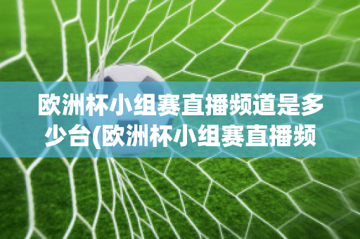 欧洲杯小组赛直播频道是多少台(欧洲杯小组赛直播频道是多少台播放)