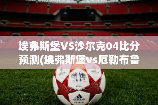 埃弗斯堡VS沙尔克04比分预测(埃弗斯堡vs厄勒布鲁比分)