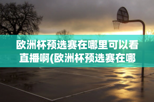 欧洲杯预选赛在哪里可以看直播啊(欧洲杯预选赛在哪里可以看直播啊英文)