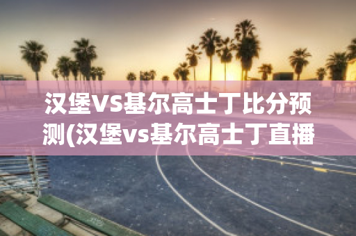 汉堡VS基尔高士丁比分预测(汉堡vs基尔高士丁直播)