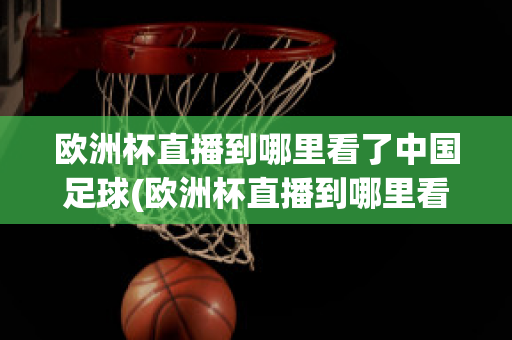 欧洲杯直播到哪里看了中国足球(欧洲杯直播到哪里看了中国足球直播)