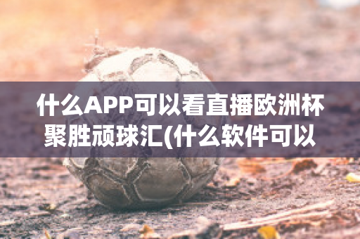 什么APP可以看直播欧洲杯聚胜顽球汇(什么软件可以看欧洲杯重播)