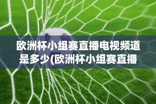 欧洲杯小组赛直播电视频道是多少(欧洲杯小组赛直播电视频道是多少啊)