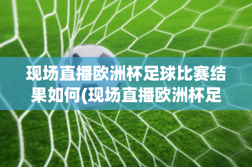 现场直播欧洲杯足球比赛结果如何(现场直播欧洲杯足球比赛结果如何查询)