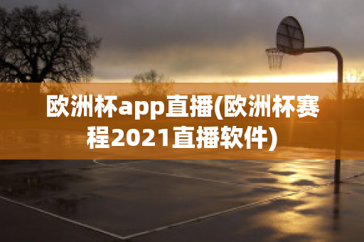 欧洲杯app直播(欧洲杯赛程2021直播软件)