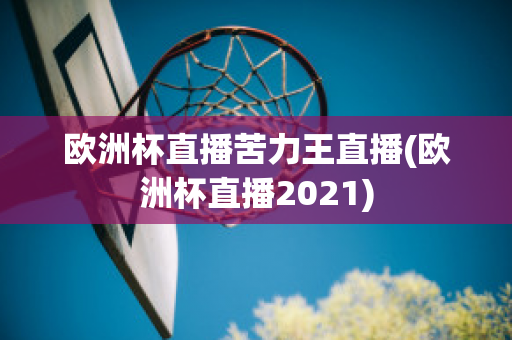 欧洲杯直播苦力王直播(欧洲杯直播2021)