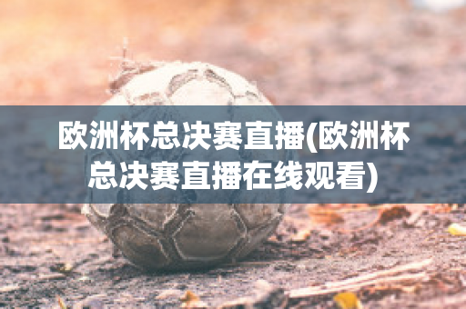 欧洲杯总决赛直播(欧洲杯总决赛直播在线观看)