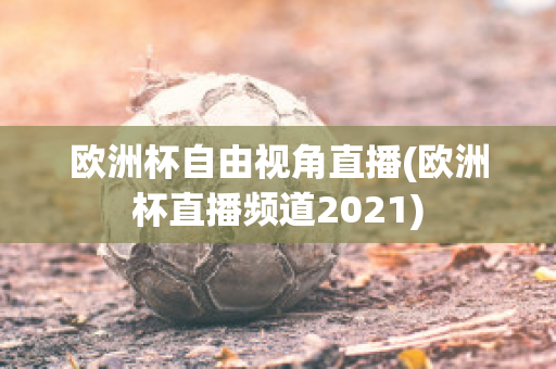 欧洲杯自由视角直播(欧洲杯直播频道2021)