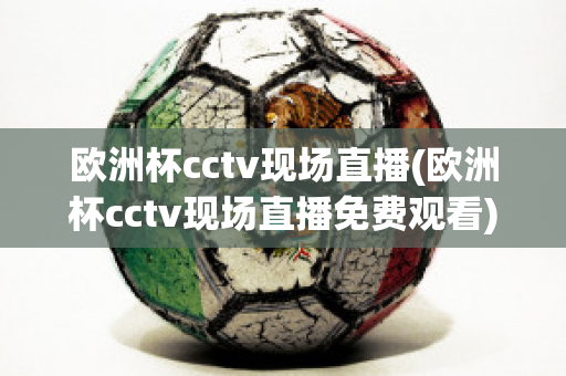 欧洲杯cctv现场直播(欧洲杯cctv现场直播免费观看)