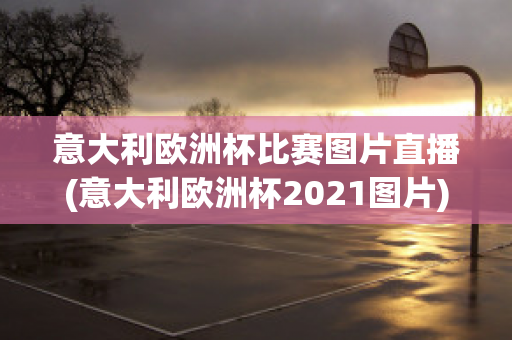 意大利欧洲杯比赛图片直播(意大利欧洲杯2021图片)