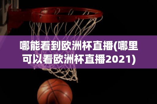 哪能看到欧洲杯直播(哪里可以看欧洲杯直播2021)