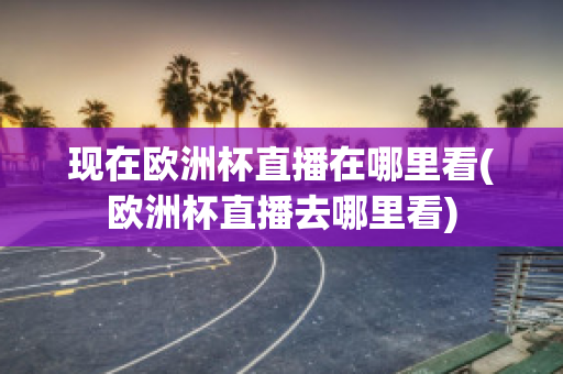 现在欧洲杯直播在哪里看(欧洲杯直播去哪里看)