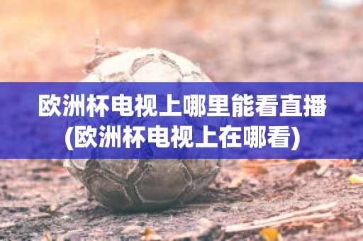 欧洲杯电视上哪里能看直播(欧洲杯电视上在哪看)