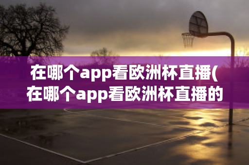 在哪个app看欧洲杯直播(在哪个app看欧洲杯直播的)