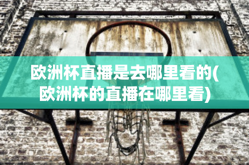 欧洲杯直播是去哪里看的(欧洲杯的直播在哪里看)