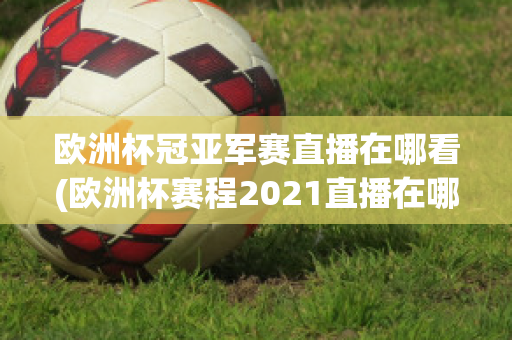 欧洲杯冠亚军赛直播在哪看(欧洲杯赛程2021直播在哪里看)