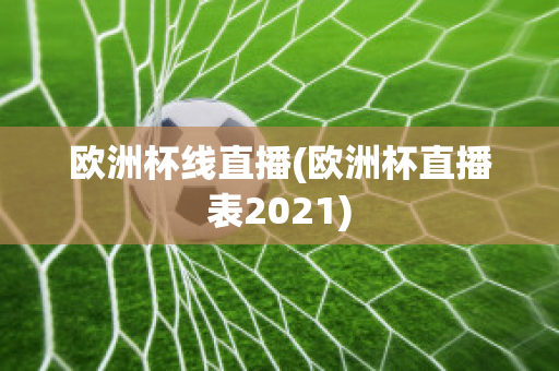 欧洲杯线直播(欧洲杯直播表2021)