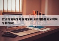 欧洲杯视频直播运营:欧洲杯视频直播运营方案