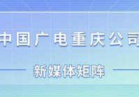 欧洲杯直播官微网公众号:欧洲杯直播官微网公众号是什么