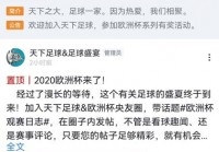 欧洲杯比赛在哪里看直播的:欧洲杯比赛在哪里看直播的软件