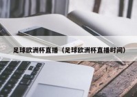 中央电视欧洲杯直播频道:中央电视欧洲杯直播频道是多少