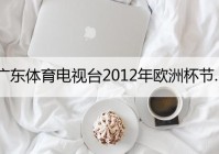 网络电视能看欧洲杯直播吧:网络电视能看欧洲杯直播吧吗