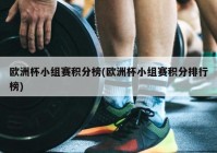 欧洲杯小组赛直播捷克比分:欧洲杯小组赛捷克战绩