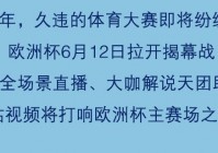 虹桥哪里可以看欧洲杯直播:虹桥哪里可以看欧洲杯直播的