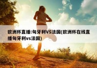 欧洲杯直播台:欧洲杯直播台在哪看