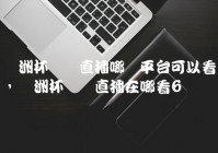 直播欧洲杯音乐:直播欧洲杯音乐叫什么