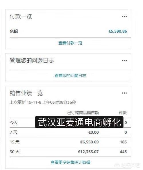 辣条解说欧洲杯直播:辣条的游戏解说