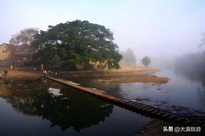 桐乡哪里可以看欧洲杯直播:桐乡哪里可以看欧洲杯直播的