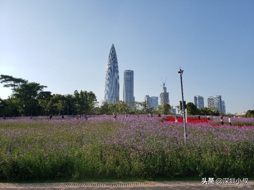 横岗哪里可以看欧洲杯直播:横岗哪里可以看欧洲杯直播的地方