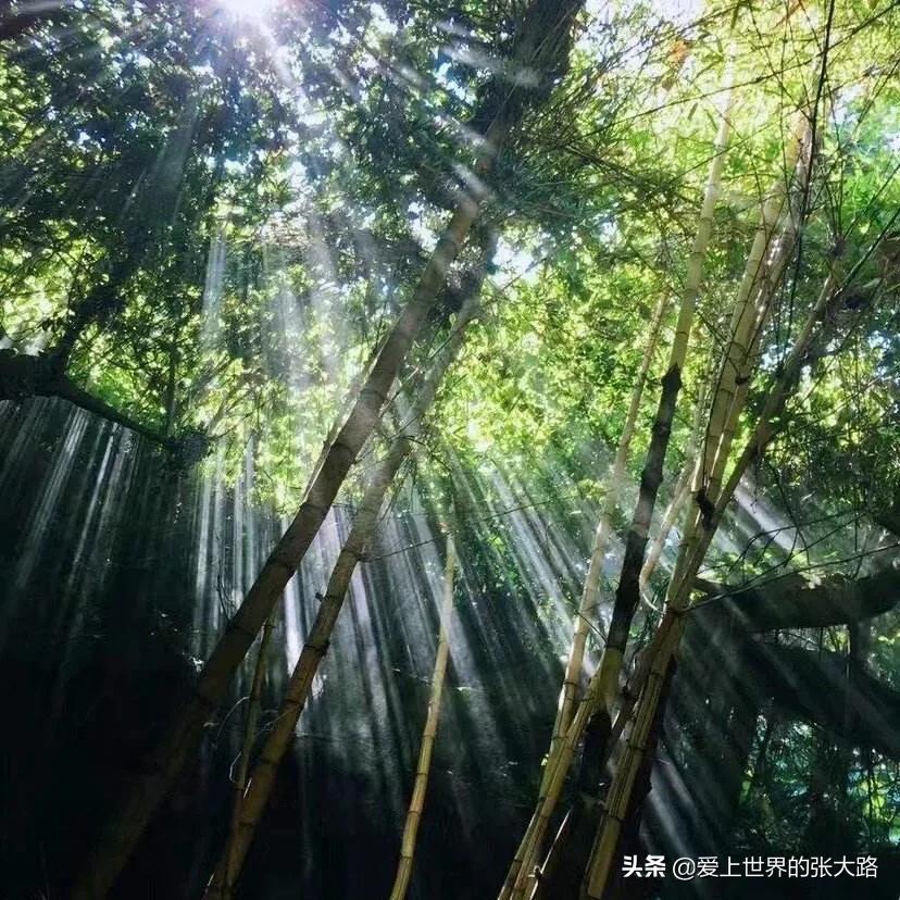 横岗哪里可以看欧洲杯直播:横岗哪里可以看欧洲杯直播的地方