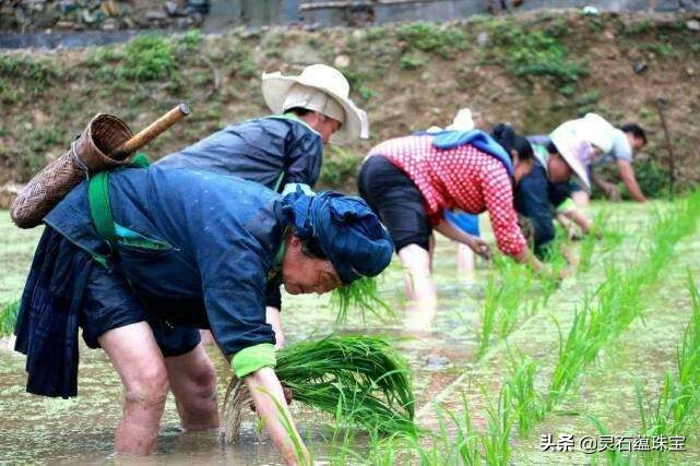 欧洲杯直播袅哥:欧洲杯直播低调