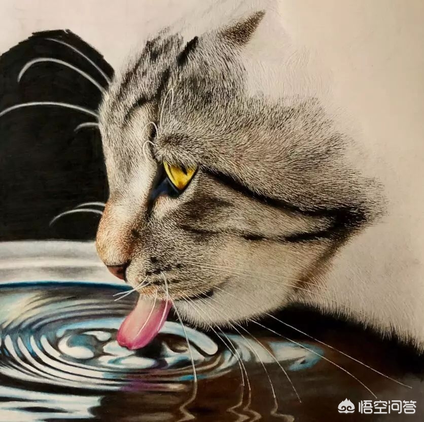 欧洲杯直播运营插画:欧洲杯直播运营插画是什么