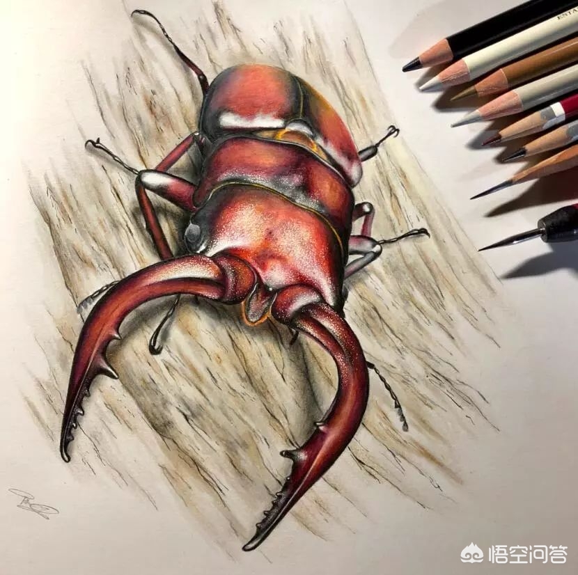 欧洲杯直播运营插画:欧洲杯直播运营插画是什么