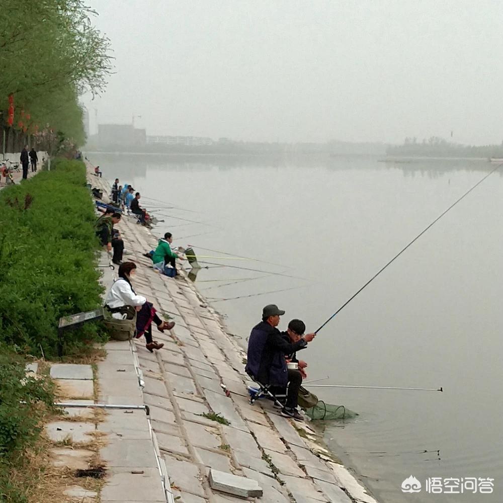 欧洲杯快鱼直播:欧洲杯快鱼直播在哪看