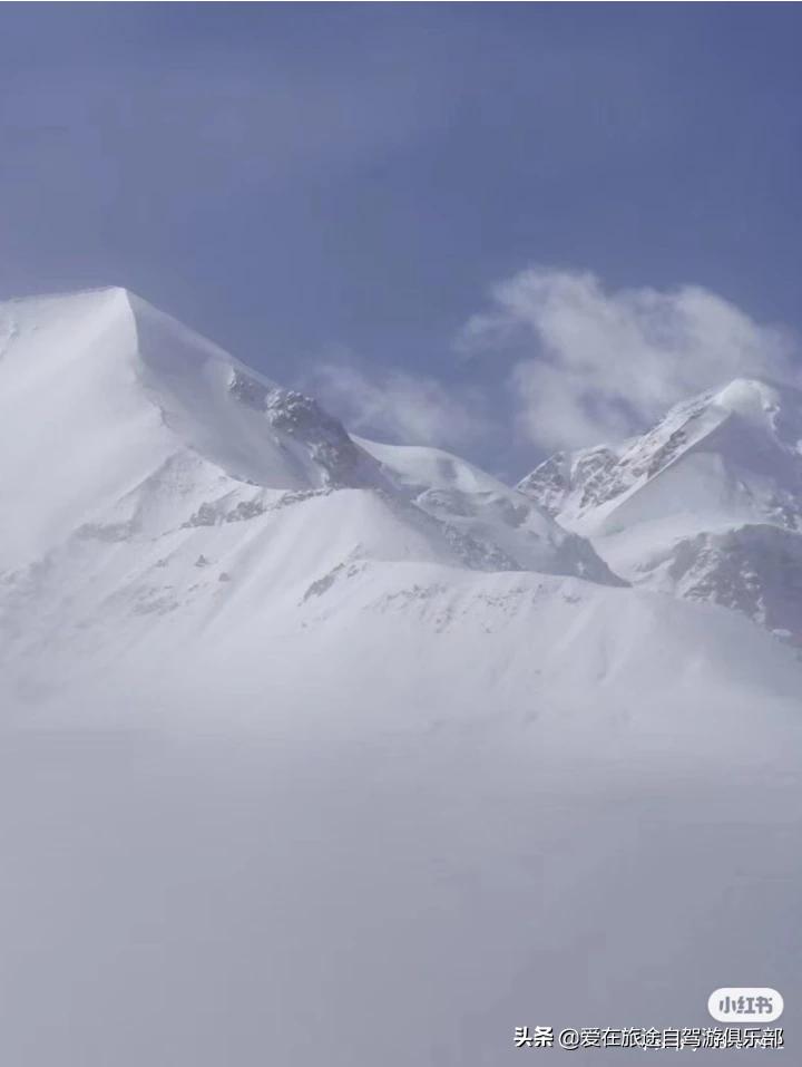 佛山欧洲杯话题直播:佛山欧冠