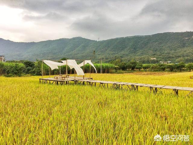 惠州欧洲杯直播平台:惠州欧洲杯直播平台有哪些