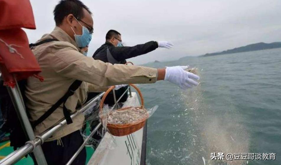 飞鸟直播欧洲杯视频:飞鸟直播足球