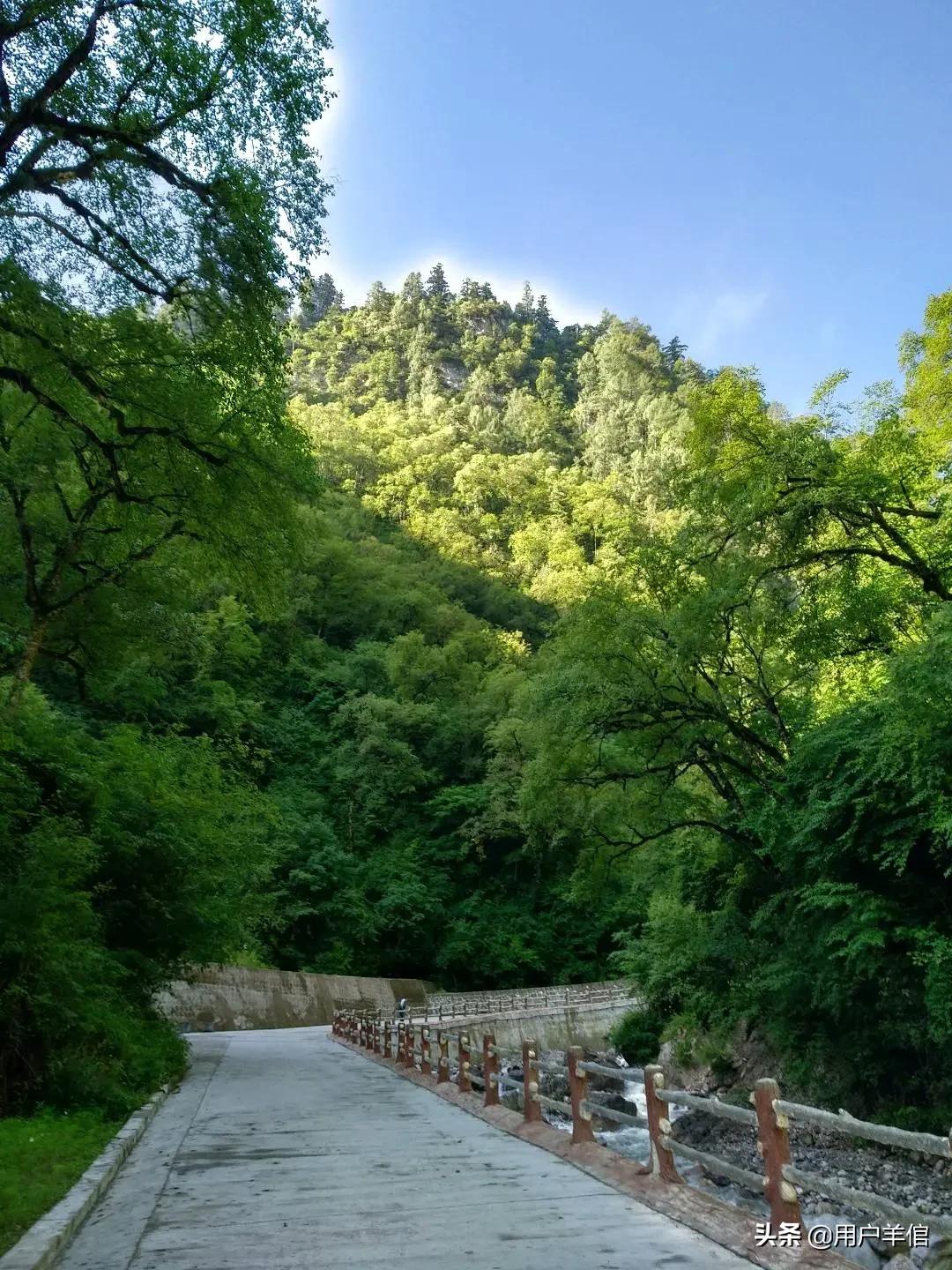 鳌江欧洲杯直播:鸥洲杯直