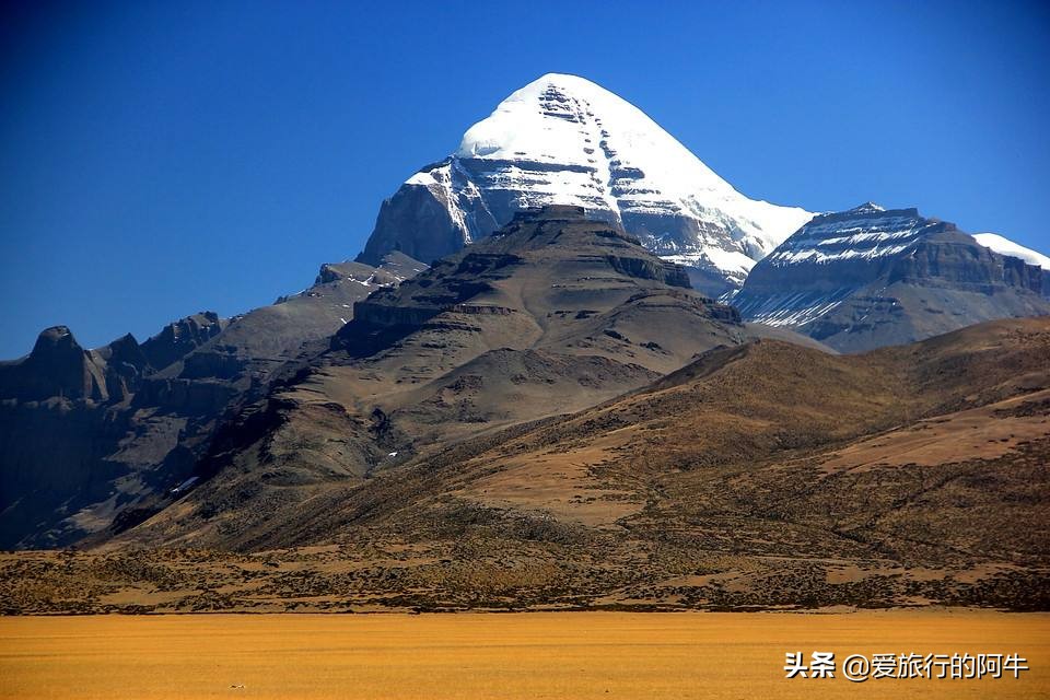 全景体育欧洲杯直播平台:全景体育欧洲杯直播平台有哪些