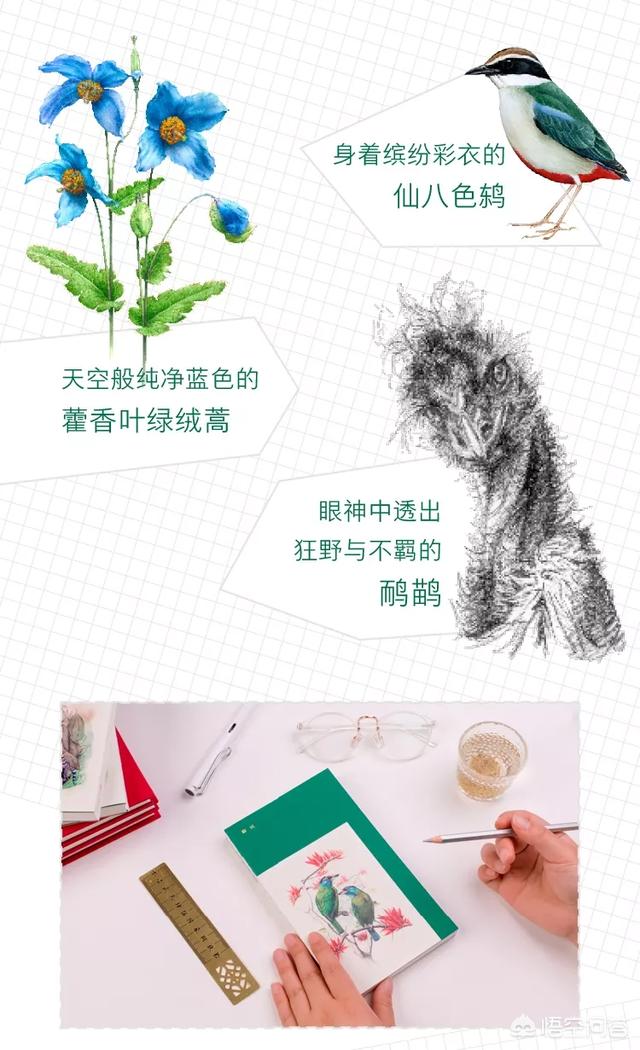 客厅看欧洲杯直播好吗:客厅看欧洲杯直播好吗知乎