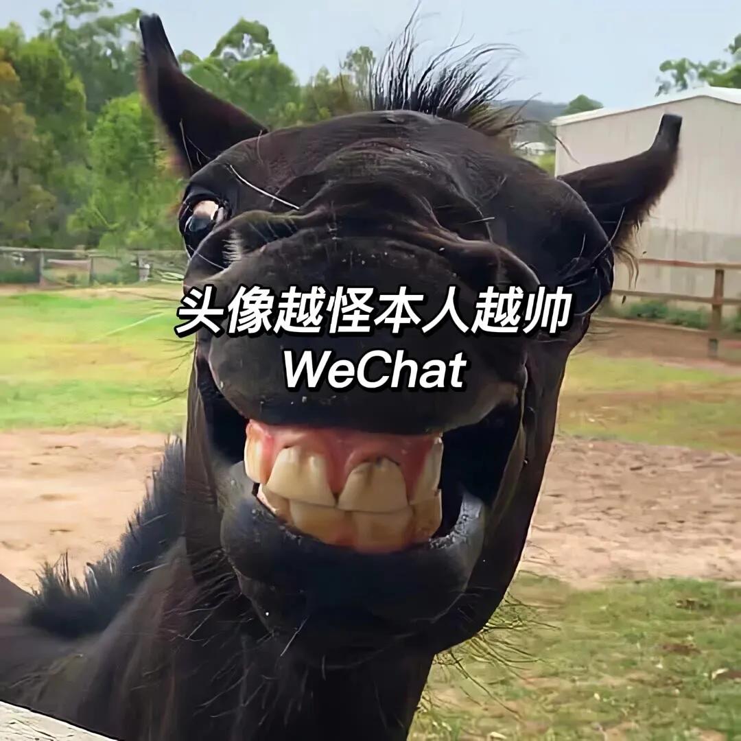 欧洲杯倒立洗头视频直播:欧洲杯倒地