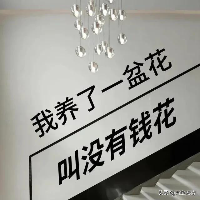 欧洲杯网上直播标题素材:欧洲杯直播文字